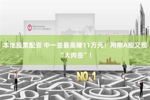 本地股票配资 中一签最高赚11万元！刚刚A股又现“大肉签”！