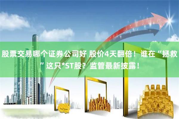 股票交易哪个证券公司好 股价4天翻倍！谁在“拯救”这只*ST股？监管最新披露！