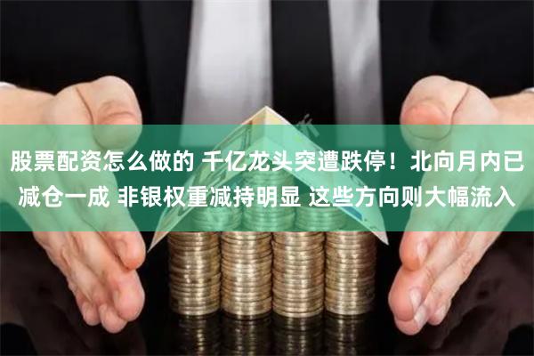 股票配资怎么做的 千亿龙头突遭跌停！北向月内已减仓一成 非银权重减持明显 这些方向则大幅流入