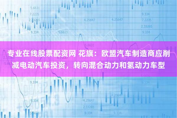 专业在线股票配资网 花旗：欧盟汽车制造商应削减电动汽车投资，转向混合动力和氢动力车型