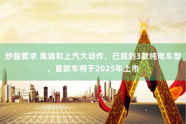 炒股要求 奥迪和上汽大动作，已规划3款纯电车型，首款车将于2025年上市