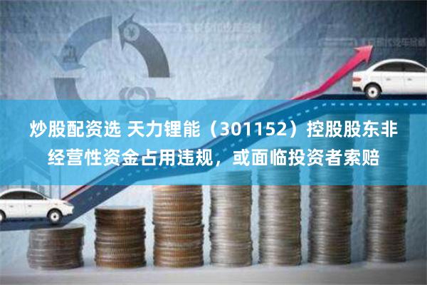 炒股配资选 天力锂能（301152）控股股东非经营性资金占用违规，或面临投资者索赔