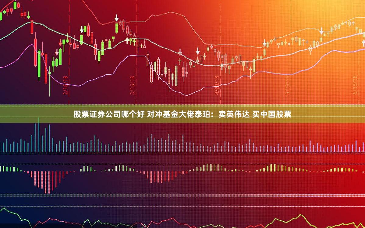 股票证券公司哪个好 对冲基金大佬泰珀：卖英伟达 买中国股票