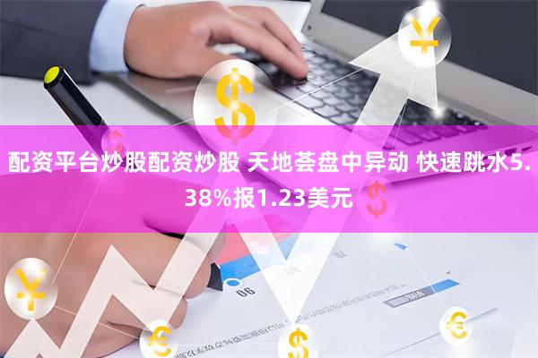 配资平台炒股配资炒股 天地荟盘中异动 快速跳水5.38%报1.23美元