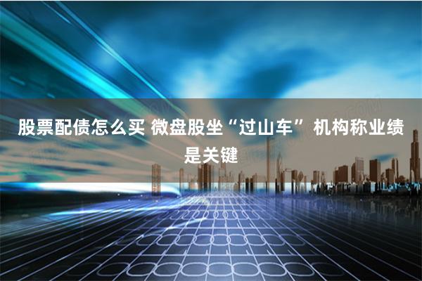 股票配债怎么买 微盘股坐“过山车” 机构称业绩是关键
